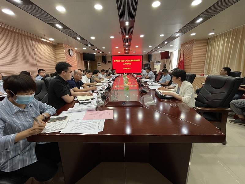 广西工程征询集团在青秀区村落振兴产业及基础设施项目