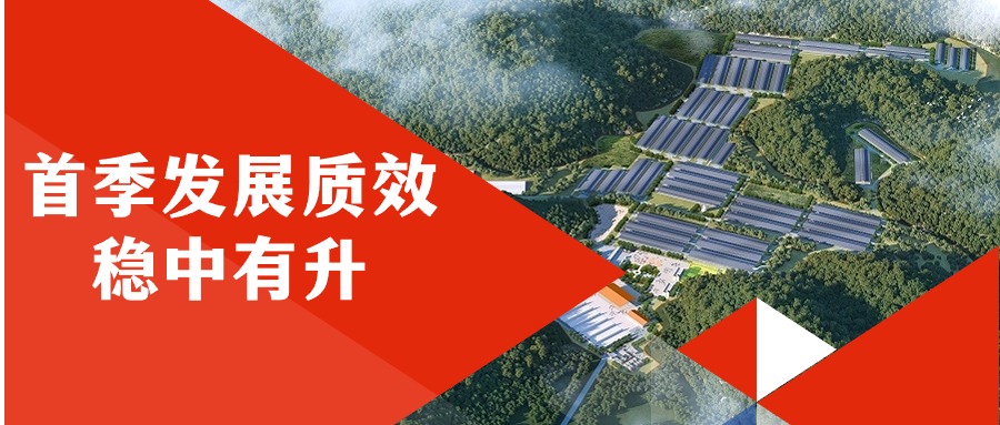 js345线路检测集团首季发展质效稳中有升